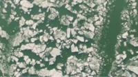 Ice on the Danube river