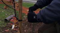 Tree planting at the National Memorial Arboretum