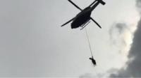 Cow carried by helicopter