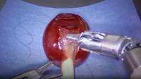 'Robotic' surgery practise on a grape