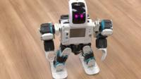 Dancing robots are not the only hardware Penang makes