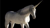 a unicorn