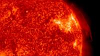 The sun