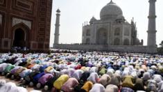Cientos de musulmanes rezan en el Taj Mahal.