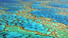 Aerial view of the Great Barrier Reef, Australia on 24 November 2016