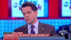 Anthony Scaramucci in interview with ABC News