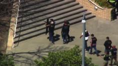 Police with guns drawn seen outside the YouTube building