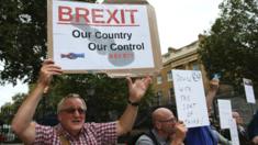 A man carrying an anti-EU pro-Brexit placard joins a counter protest against pro-Europe marchers on a March for Europe demonstration against the Brexit vote in Parliament Square in central London on September 3, 2016