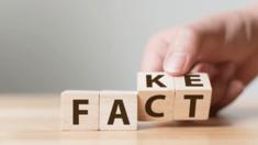 Blocks reading Fact and Fake