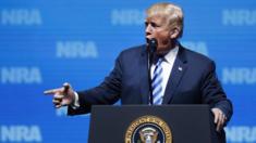 Donald Trump addresses the NRA in Texas, 4 May