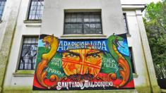 Grafiti de Santiago Maldonado