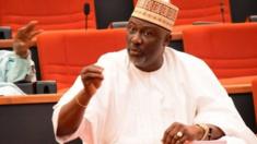 Dino Melaye