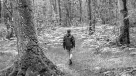 Un hombre caminando en un bosque.
