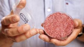 The artificial burger