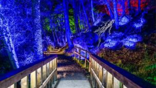 In Pictures Enchanted Forest light show opens to public 