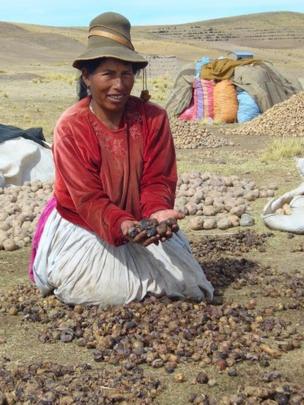 Mujer con tunta en las manos en Ilave, Puno, Perú, en 2008