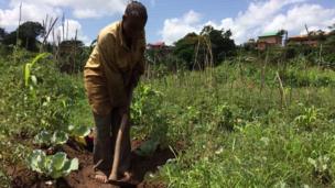 Licha ya kwamba marehemu babake na mume wake walimiliki hekta nyingi za ardhi, Anny mambweni haruhusiwi kurithi mali hiyo.