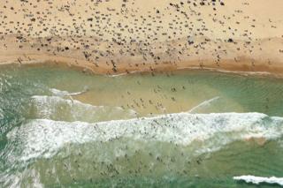 An aerial view of swimmers at Bondi Beach