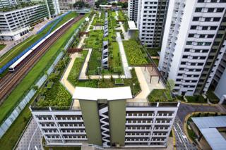 Roof Garden by Joseph Meng Huat Goh