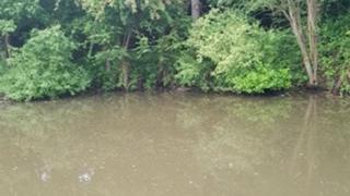 Wigan Canal
