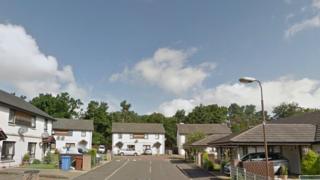 Lime Grove, Livingston