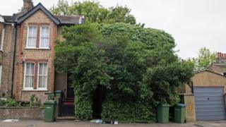 House in Blackheath