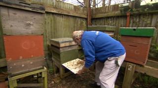 Dr Coulson among his hives