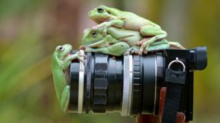 Foto de Muhammad Roem