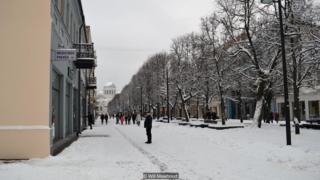 Tawon Lithuania