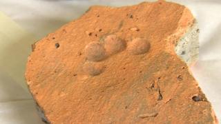 cat print