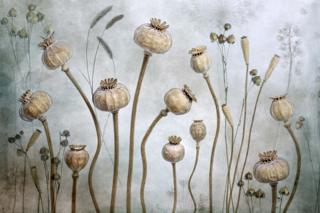 Full Circle - Mandy Disher / www.igpoty.com
