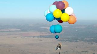 Africa's top shots: 20-26 October 2017 - BBC News