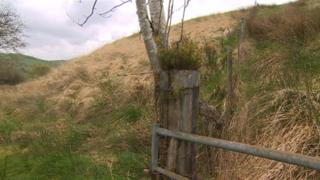 Cefn Coch mountainside