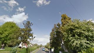 Whitehorn Lane