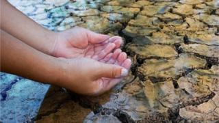 Una persona con las manos sobre una tierra seca