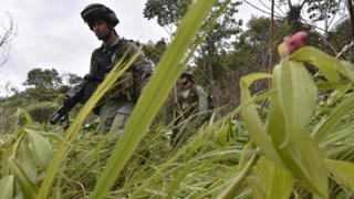 Militares durante una operación para destruir un laboratorio de cocaína en Guaviare, en agosto de 2016.