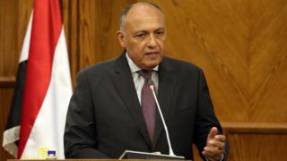 وزير الخارجية المصري سامح شكري