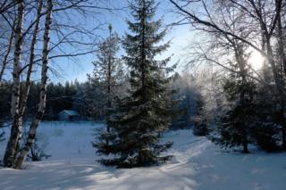 Карелия