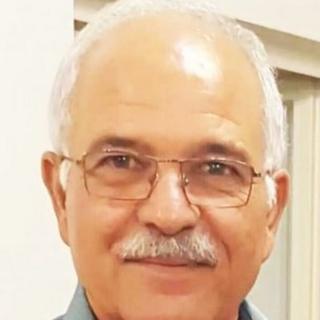 فرهنگ امیری