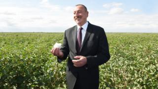 İlham Əliyev Salyanda pambıq sahələrinə baxıb