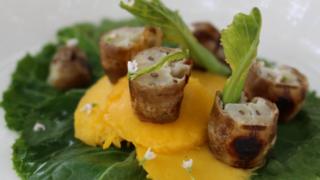 Bug food