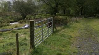 Cefn gwlad