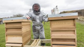 Ian Roberts wearing the "virtually sting proof" suit