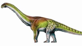 Una ilustración del Patagotitan mayorum