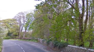Ayr crash