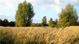 It is understood the loans being disposed of have been under special management for a significant time