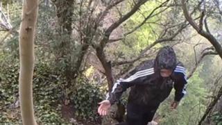 Man seen near peregrine nest