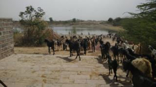 काले हिरणों का स्मारक