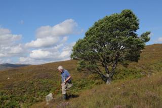 Entomologist Peter Chandler