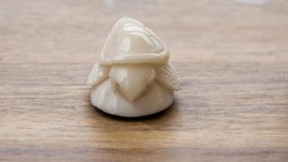 Tagua